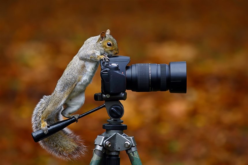 Pourquoi la photographie est-elle un excellent passe-temps ?